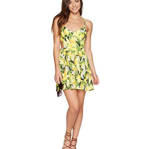 Show Me Your Mumu Piper Dress